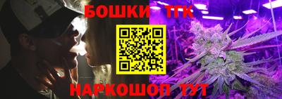 бошки Дубна