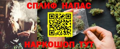 бошки Дубна