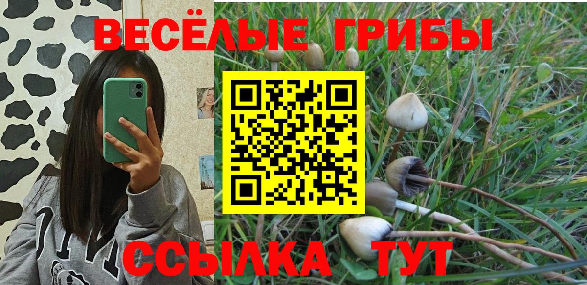 Стрежевой  Галлюциногенные грибы Magic Shrooms  Вход с VPN 